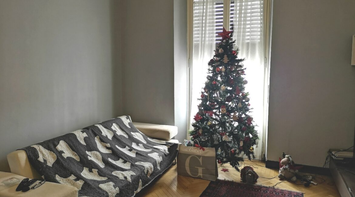 2AIMG_20241214_110450