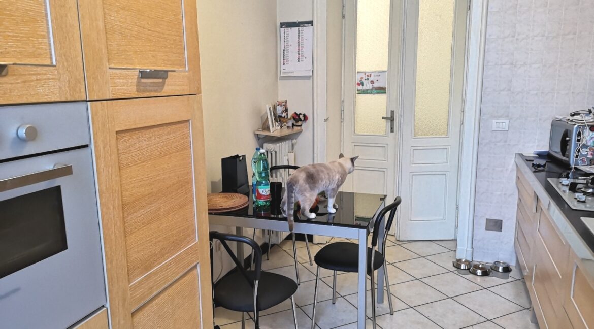 3CIMG_20241214_110652